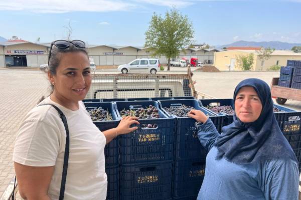 Yeşilüzümlü’nün Bağcılık Geleneği Geleceğe Taşınıyor